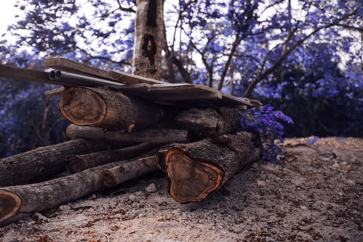 How to Build a Log Pile for Wildlife